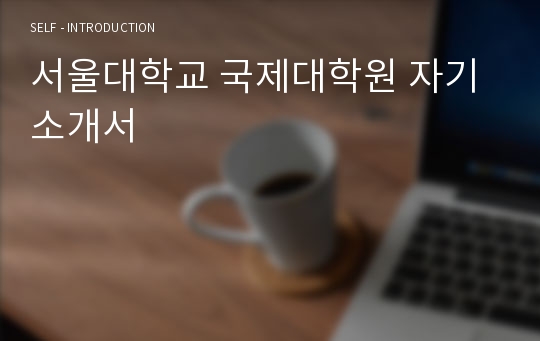 서울대 연대 고대 국제대학원 자기소개서 [ 최종합격 ]