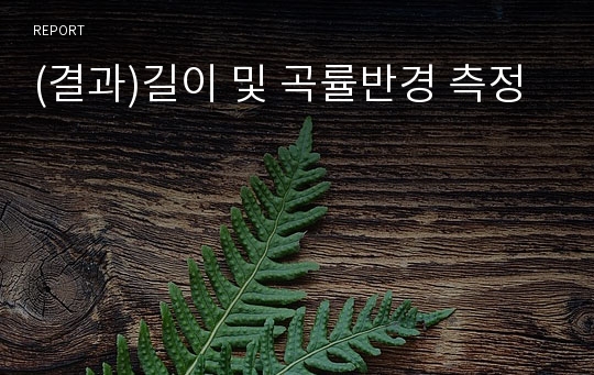 (결과)길이 및 곡률반경 측정