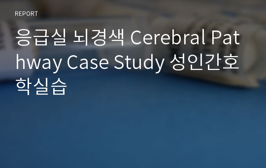 응급실 뇌경색 Cerebral Pathway Case Study 성인간호학실습