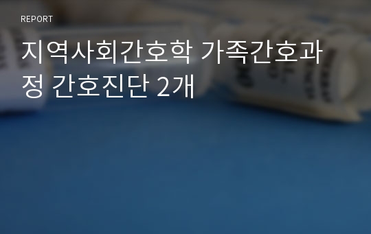 지역사회간호학 가족간호과정 간호진단 2개