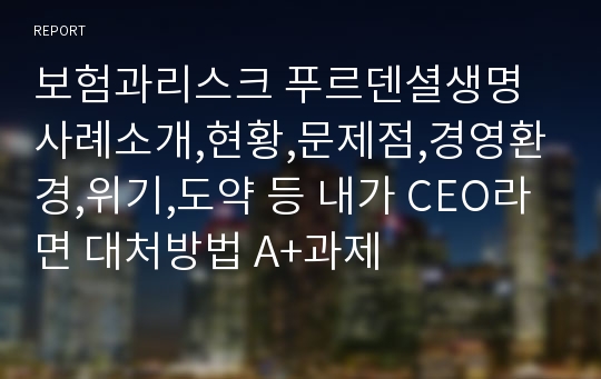 보험과리스크 푸르덴셜생명사례소개,현황,문제점,경영환경,위기,도약 등 내가 CEO라면 대처방법 A+과제