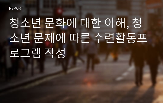 청소년 문화에 대한 이해, 청소년 문제에 따른 수련활동프로그램 작성