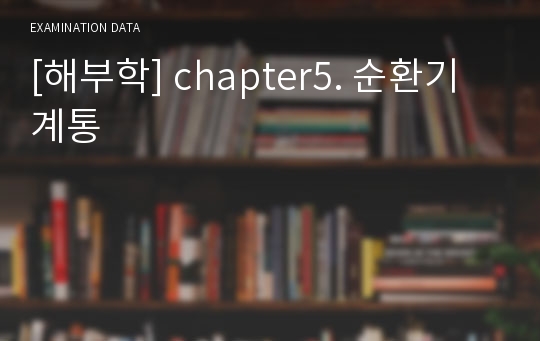 [해부학] chapter5. 순환기계통