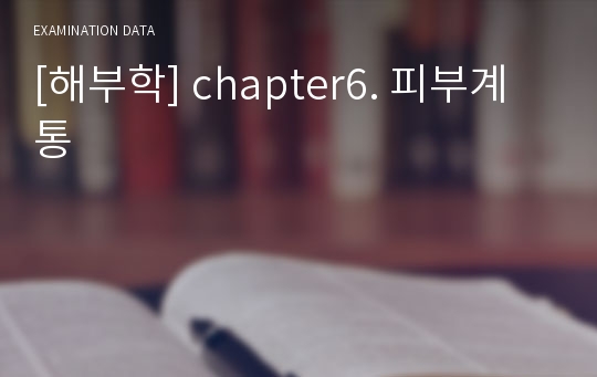 [해부학] chapter6. 피부계통