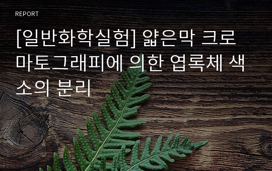 [일반화학실험] 얇은막 크로마토그래피에 의한 엽록체 색소의 분리