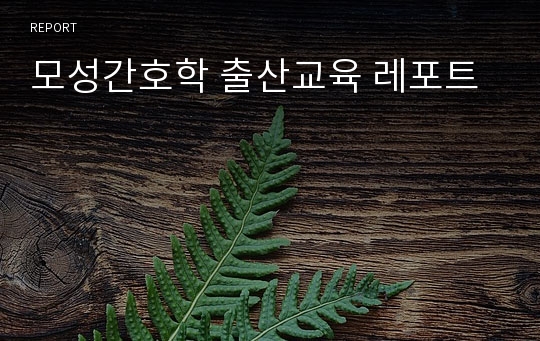 모성간호학 출산교육 레포트