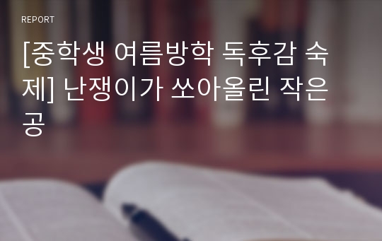 [중학생 여름방학 독후감 숙제] 난쟁이가 쏘아올린 작은 공