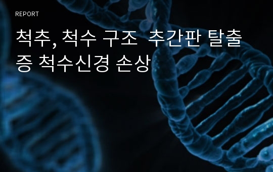 척추, 척수 구조  추간판 탈출증 척수신경 손상