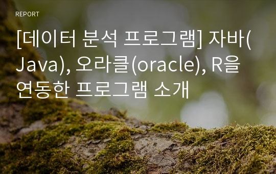 [데이터 분석 프로그램] 자바(Java), 오라클(oracle), R을 연동한 프로그램 소개