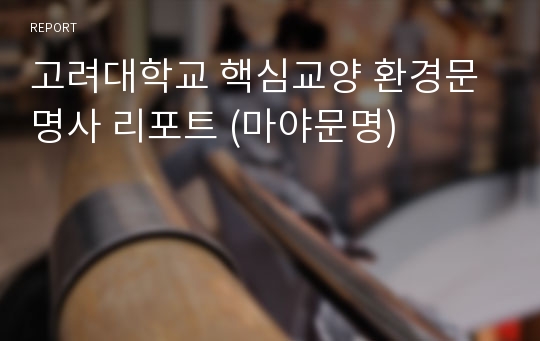 고려대학교 핵심교양 환경문명사 리포트 (마야문명)