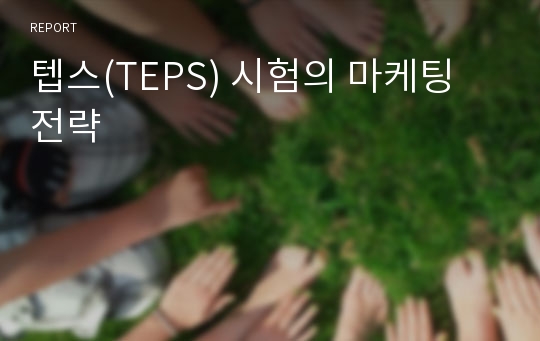 텝스(TEPS) 시험의 마케팅 전략