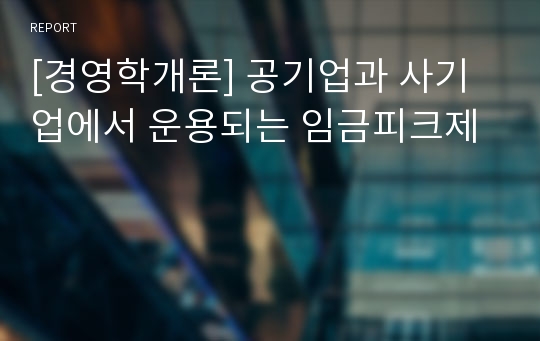 [경영학개론] 공기업과 사기업에서 운용되는 임금피크제