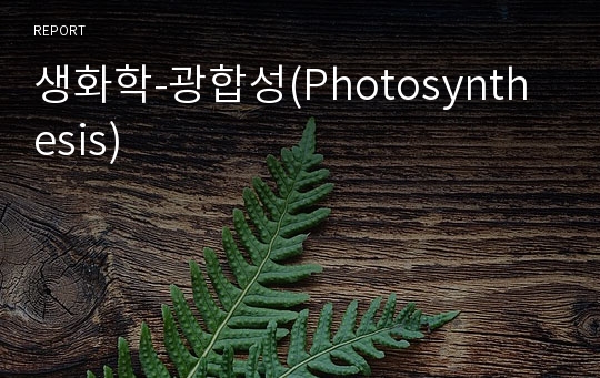 생화학-광합성(Photosynthesis)