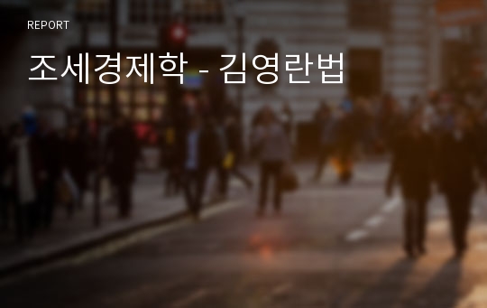 조세경제학 - 김영란법