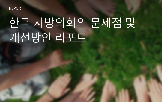 한국 지방의회의 문제점 및 개선방안 리포트