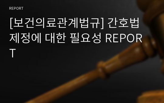 [보건의료관계법규] 간호법 제정에 대한 필요성 REPORT