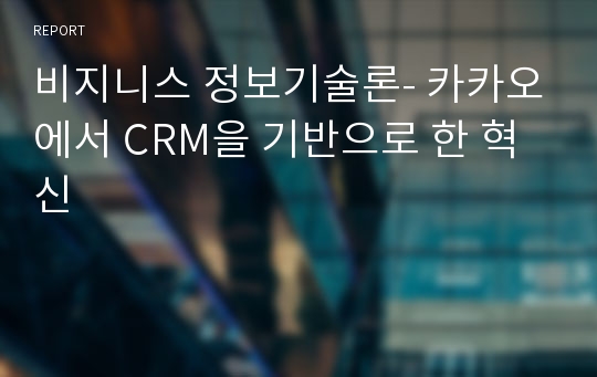 비지니스 정보기술론- 카카오에서 CRM을 기반으로 한 혁신