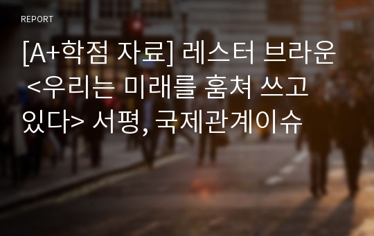 [A+학점 자료] 레스터 브라운 &lt;우리는 미래를 훔쳐 쓰고 있다&gt; 서평, 국제관계이슈