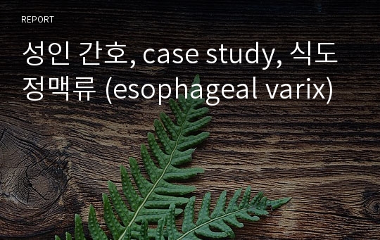성인 간호, case study, 식도정맥류 (esophageal varix)