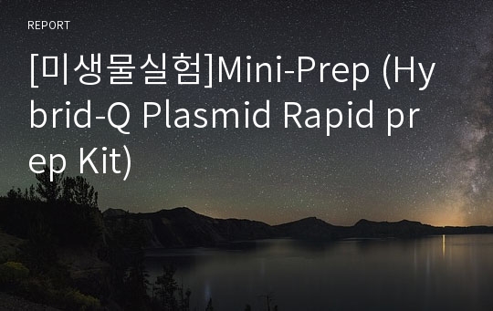 [미생물실험]Mini-Prep (Hybrid-Q Plasmid Rapid prep Kit)