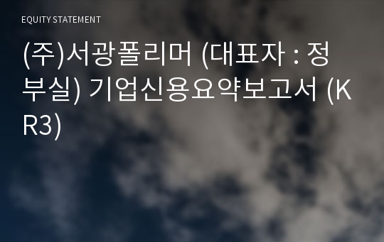 (주)서광폴리머 기업신용요약보고서 (KR3)