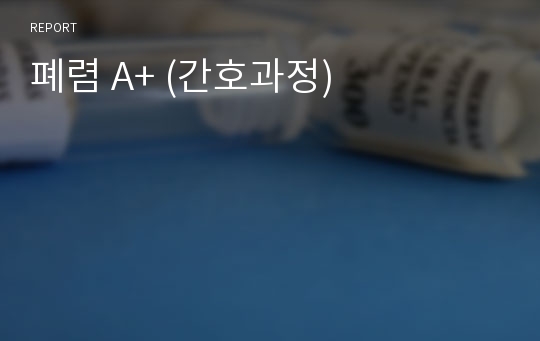 폐렴 A+ (간호과정)