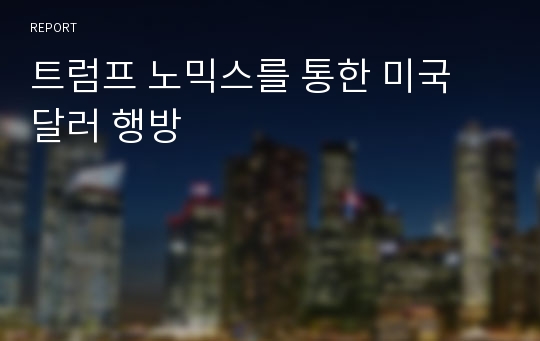 트럼프 노믹스를 통한 미국 달러 행방