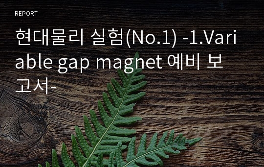 현대물리 실험(No.1) -1.Variable gap magnet 예비 보고서-