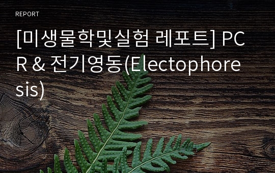 [미생물학및실험 레포트] PCR &amp; 전기영동(Electophoresis)