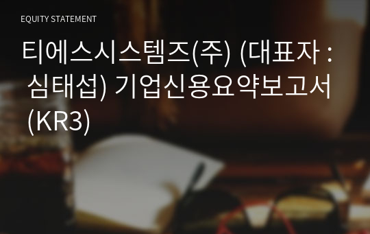 티에스시스템즈(주) 기업신용요약보고서 (KR3)