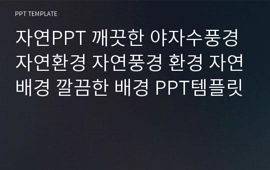 자연PPT 깨끗한 야자수풍경 자연환경 자연풍경 환경 자연배경 깔끔한 배경 PPT템플릿