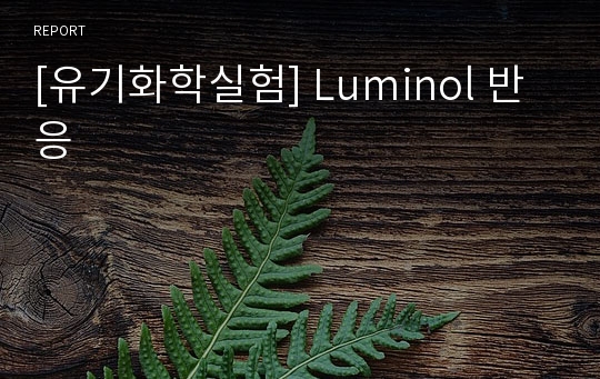 [유기화학실험] Luminol 반응