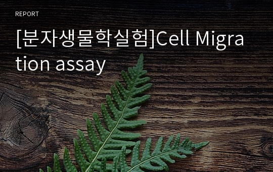 Cell Migration assay