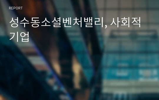 성수동소셜벤처밸리, 사회적기업