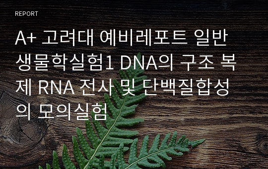 A+ 고려대 예비레포트 일반생물학실험1 DNA의 구조 복제 RNA 전사 및 단백질합성의 모의실험