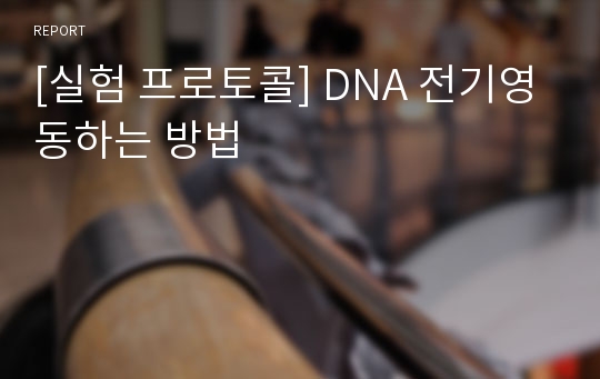 [실험 프로토콜] DNA 전기영동하는 방법