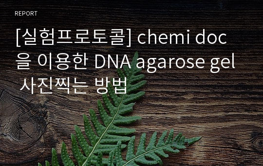 [실험프로토콜] chemi doc을 이용한 DNA agarose gel 사진찍는 방법