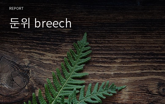 둔위 breech