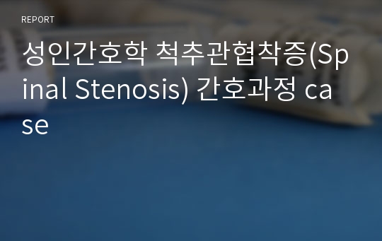 성인간호학 척추관협착증(Spinal Stenosis) 간호과정 case