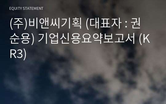 (주)비앤씨기획 기업신용요약보고서 (KR3)