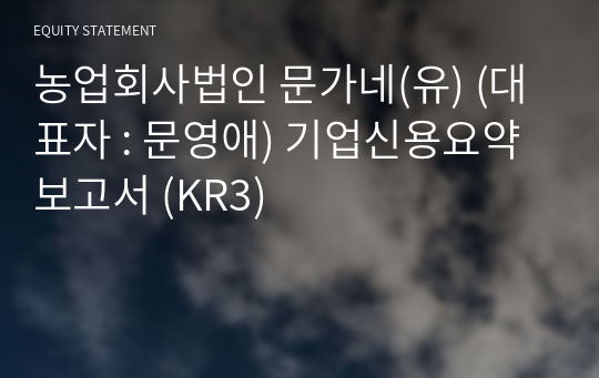 농업회사법인 문가네(유) 기업신용요약보고서 (KR3)