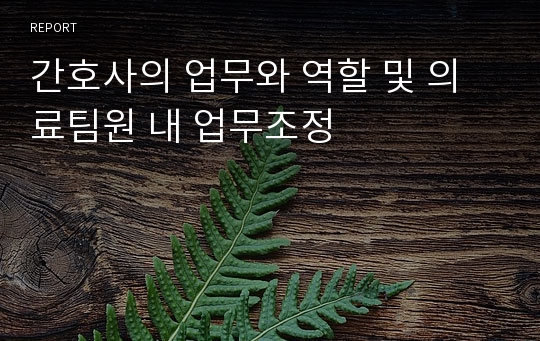 간호사의 업무와 역할 및 의료팀원 내 업무조정