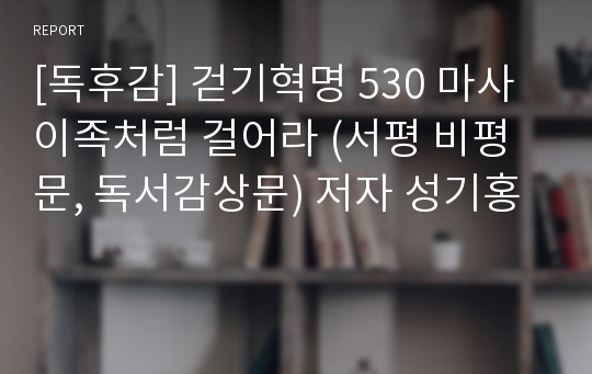 [독후감] 걷기혁명 530 마사이족처럼 걸어라 (서평 비평문, 독서감상문) 저자 성기홍