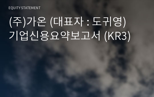 (주)가온아이피엠 기업신용요약보고서 (KR3)