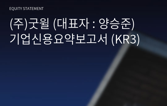 (주)굿윌 기업신용요약보고서 (KR3)