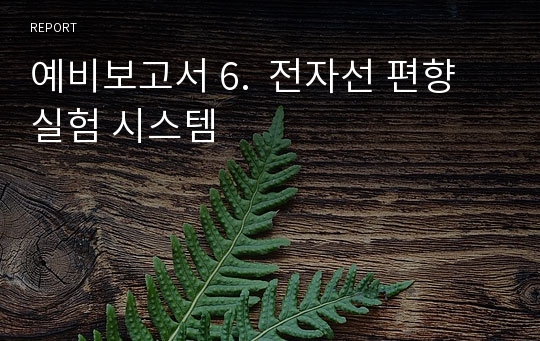 예비보고서 6.  전자선 편향 실험 시스템