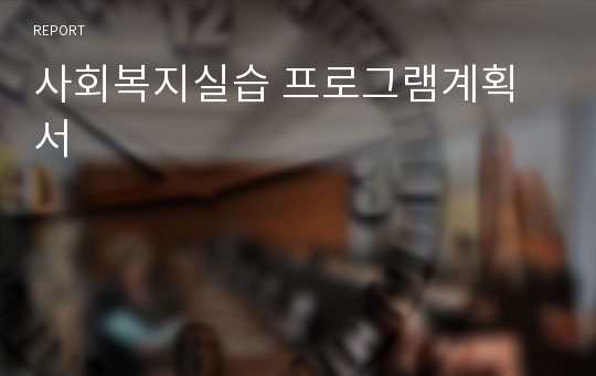 사회복지실습 프로그램계획서