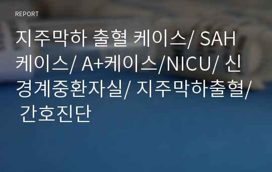 지주막하 출혈 케이스/ SAH 케이스/ A+케이스/NICU/ 신경계중환자실/ 지주막하출혈/ 간호진단