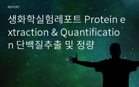 생화학실험레포트 Protein extraction &amp; Quantification 단백질추출 및 정량