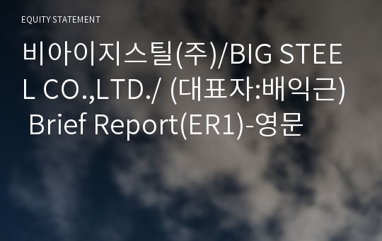 비아이지스틸(주)/BIG STEEL CO.,LTD./ Brief Report(ER1)-영문